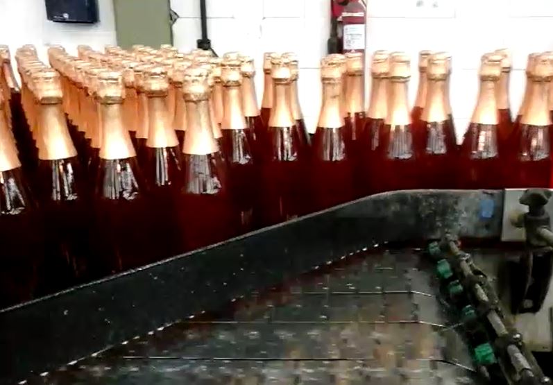 1019 PLUS - Imagen 3